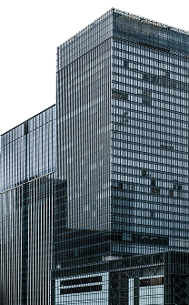 Корпорации и квази-госсектор